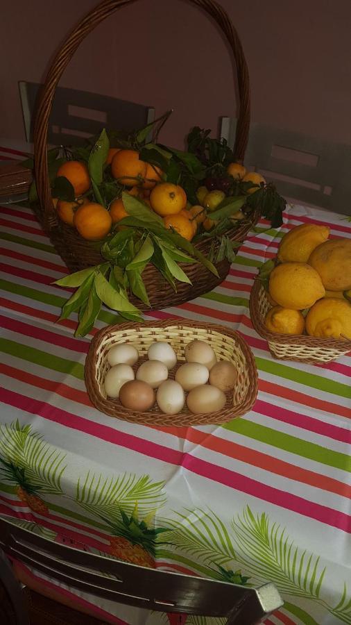 Finca Rural Torres Casas 1 Y 4 Bed & Breakfast เบกา เด ซานมาเตโอ ภายนอก รูปภาพ