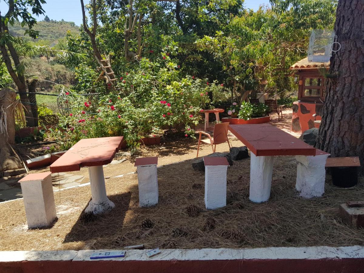 Finca Rural Torres Casas 1 Y 4 Bed & Breakfast เบกา เด ซานมาเตโอ ภายนอก รูปภาพ
