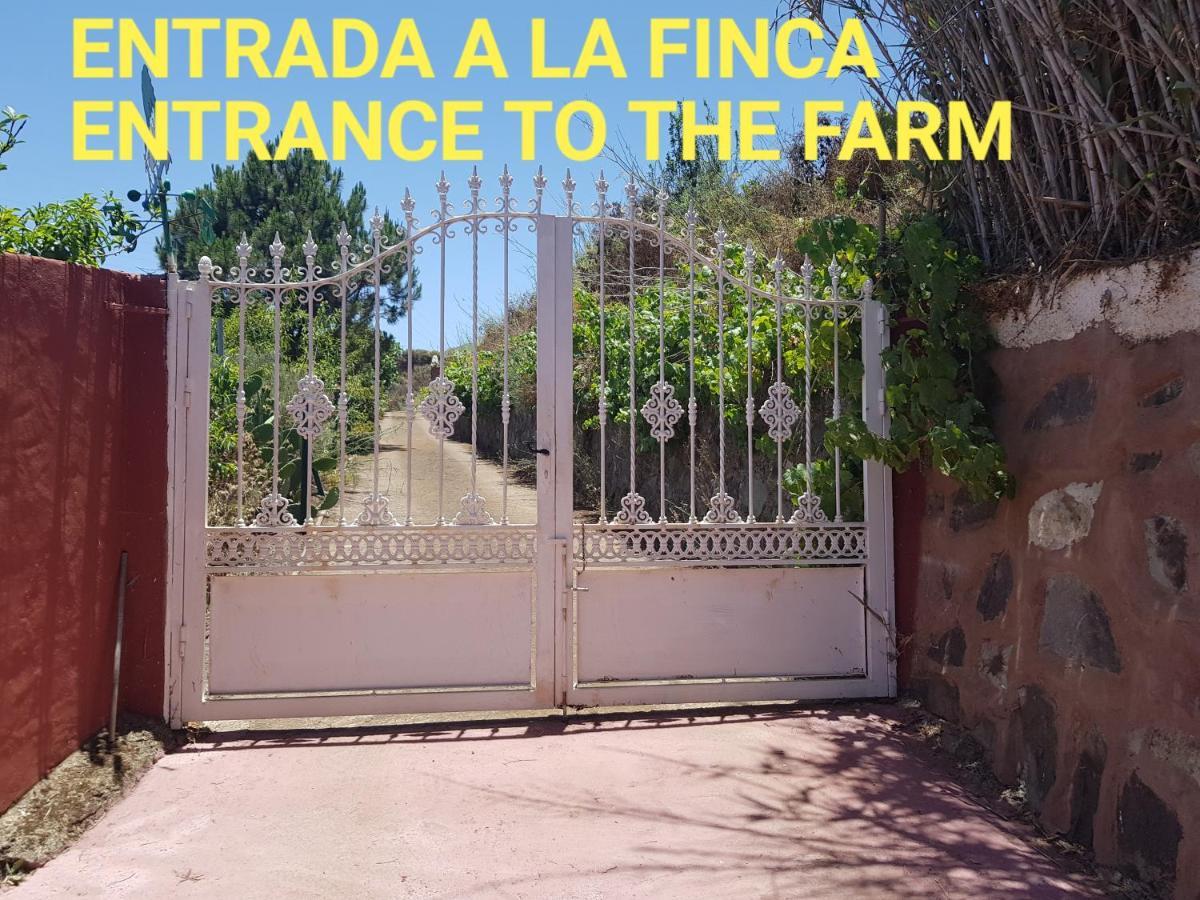 Finca Rural Torres Casas 1 Y 4 Bed & Breakfast เบกา เด ซานมาเตโอ ภายนอก รูปภาพ