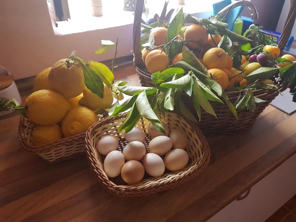 Finca Rural Torres Casas 1 Y 4 Bed & Breakfast เบกา เด ซานมาเตโอ ภายนอก รูปภาพ