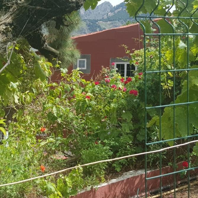 Finca Rural Torres Casas 1 Y 4 Bed & Breakfast เบกา เด ซานมาเตโอ ภายนอก รูปภาพ