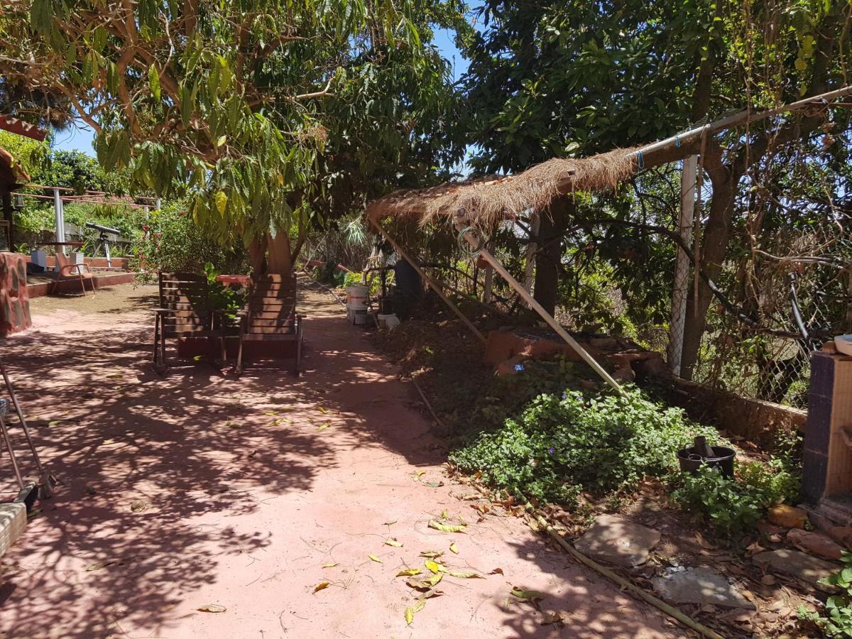 Finca Rural Torres Casas 1 Y 4 Bed & Breakfast เบกา เด ซานมาเตโอ ห้อง รูปภาพ